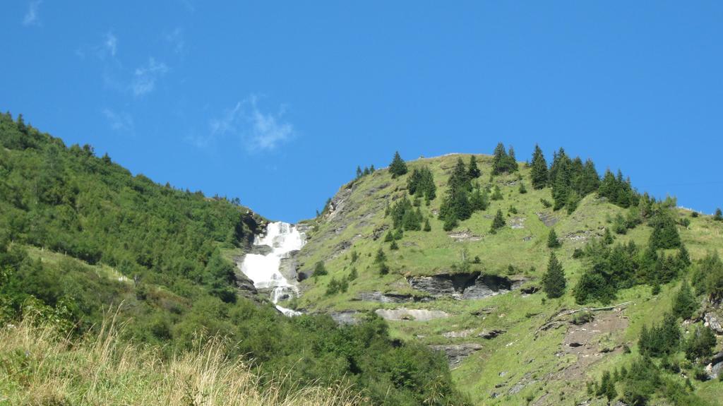 Landhaus Gassner Fusch an der Glocknerstraße Dış mekan fotoğraf
